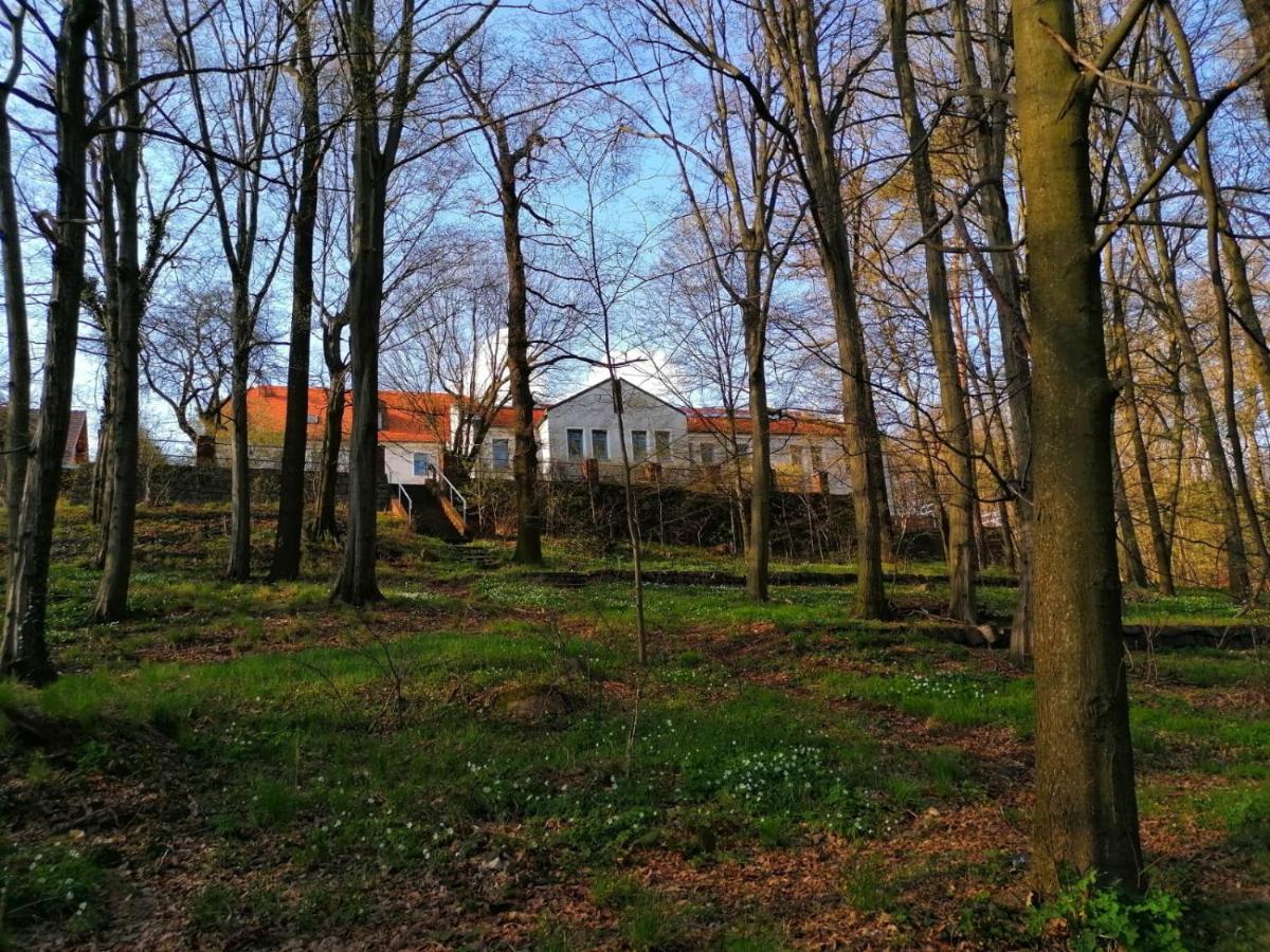 Hotel Kreuzbergbaude Beim Berzdorfer See Mit Wohlfuehl Sauna Markersdorf المظهر الخارجي الصورة